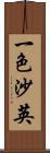 一色沙英 Scroll