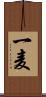 一麦 Scroll