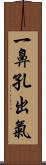 一鼻孔出氣 Scroll