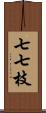 七七枝 Scroll