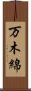 万木綿 Scroll