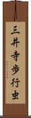 三井寺歩行虫 Scroll