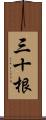 三十根 Scroll