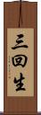 三回生 Scroll