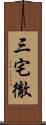 三宅徹 Scroll