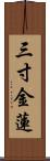 三寸金蓮 Scroll