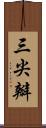 三尖瓣 Scroll