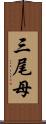 三尾母 Scroll