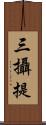 三攝提 Scroll