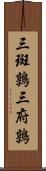 三斑鶉 Scroll
