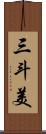 三斗美 Scroll