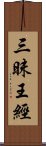 三昧王經 Scroll