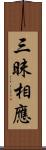 三昧相應 Scroll