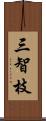 三智枝 Scroll