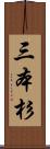 三本杉 Scroll