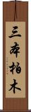 三本柏木 Scroll