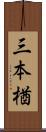 三本楢 Scroll