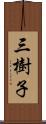 三樹子 Scroll