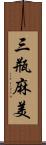 三瓶麻美 Scroll