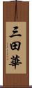 三田華 Scroll