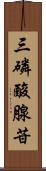 三磷酸腺苷 Scroll