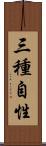 三種自性 Scroll