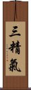 三精氣 Scroll