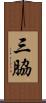 三脇 Scroll