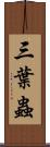 三葉蟲 Scroll
