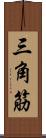 三角筋 Scroll