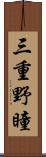 三重野瞳 Scroll