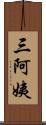 三阿姨 Scroll