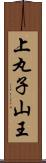 上丸子山王 Scroll