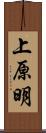 上原明 Scroll