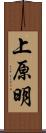 上原明 Scroll