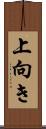 上向き Scroll