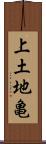 上土地亀 Scroll