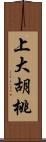 上大胡桃 Scroll