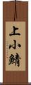 上小鯖 Scroll