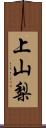 上山梨 Scroll