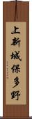 上新城保多野 Scroll