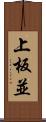 上板並 Scroll