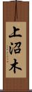 上沼木 Scroll