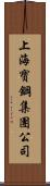 上海寶鋼集團公司 Scroll