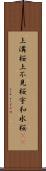 上溝桜 Scroll