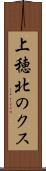 上穂北のクス Scroll