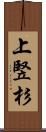 上竪杉 Scroll