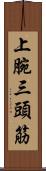 上腕三頭筋 Scroll