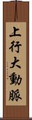 上行大動脈 Scroll