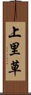 上里草 Scroll